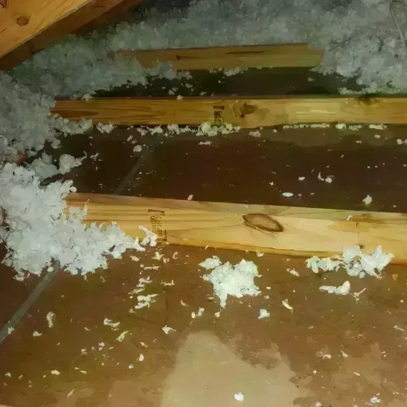 Attic Water Damage in Middlebury, CT